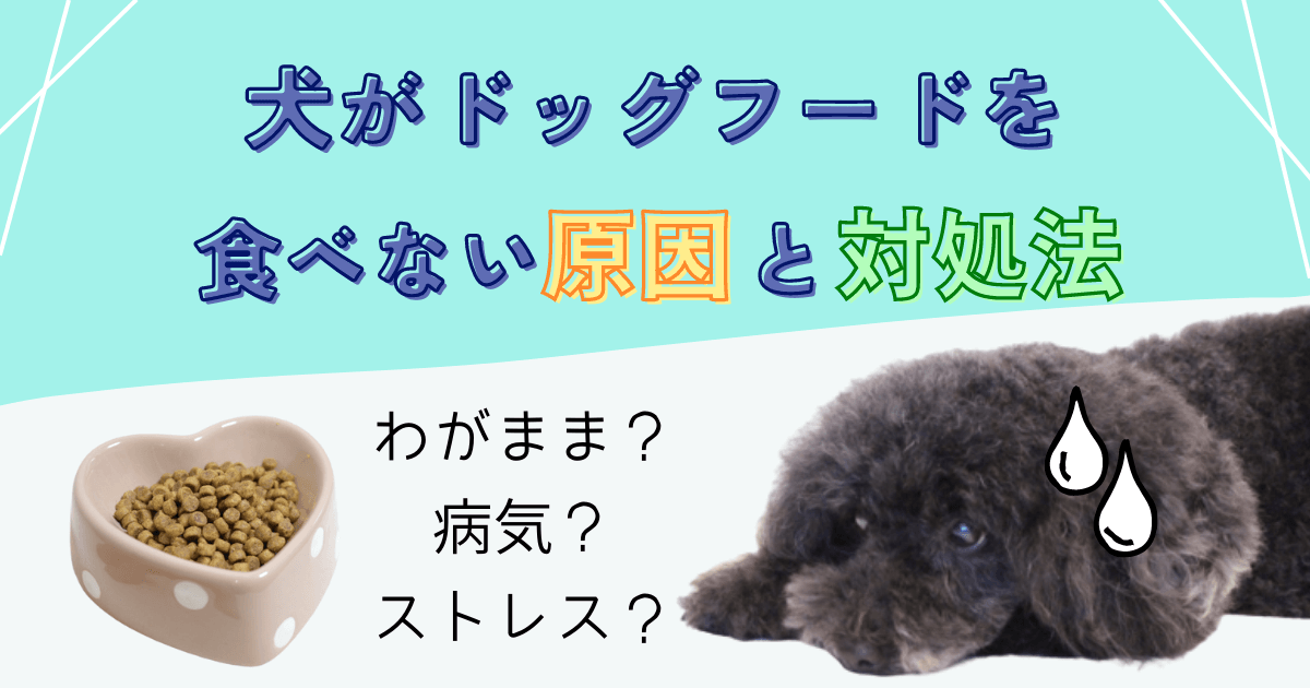 犬 ドッグフード 食べ ない わがまま 原因