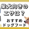 柴犬 ドッグフード おすすめ