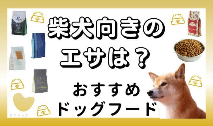 柴犬 ドッグフード おすすめ