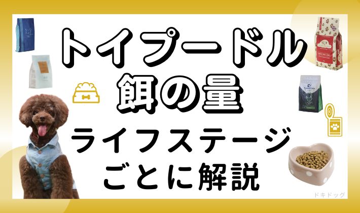 トイプードル ドッグフード 量