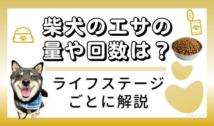 柴犬 ドッグフード　量