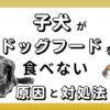 子犬 ドッグフード　食べない