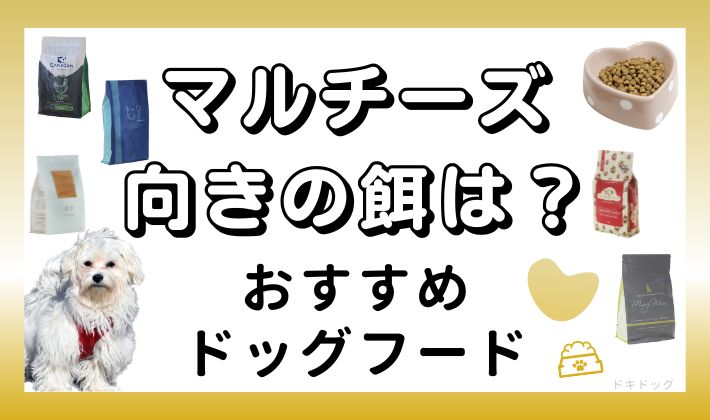 マルチーズ　ドッグフード おすすめ