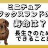 ミニチュアダックスフンド　寿命